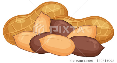 Vector Illustration of Peanuts in Shell and Shelled Nuts Vector Illustration of Peanuts in Shell and Shelled Nuts 129815098