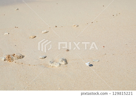 黑島宮裡海岸美麗的沙灘，寄居蟹在此漫步 129815221