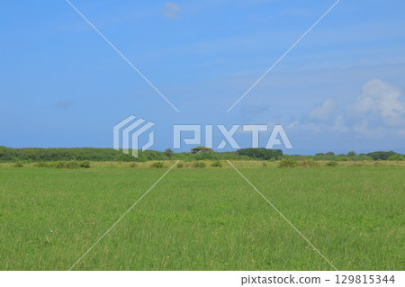 The beautiful contrast between the blue sky and greenery of Kuroshima's grassland 129815344