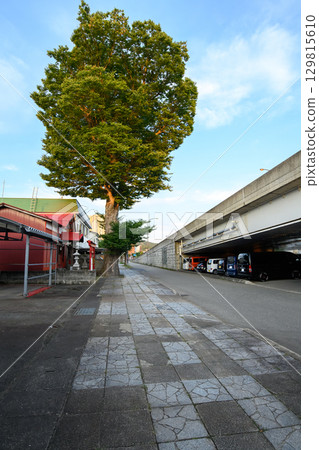 秋田縣橫手市的市內聖樹 秋田縣橫手市的市內聖樹 129815610