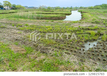岐阜縣海津市：再現春天堀田風情的“Aqua World Suigo Park Center” 129815783
