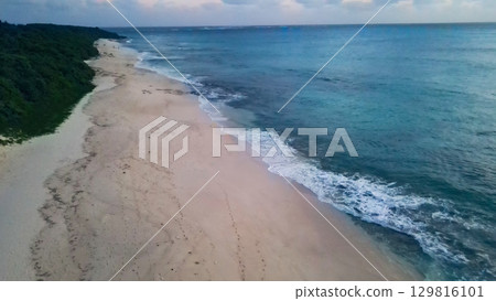 無人機空中拍攝的熱帶海灘 129816101