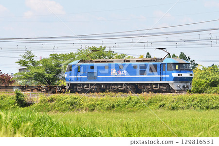 Railway JR Freight: Tohoku Main Line EF210-132 Freight Train 129816531