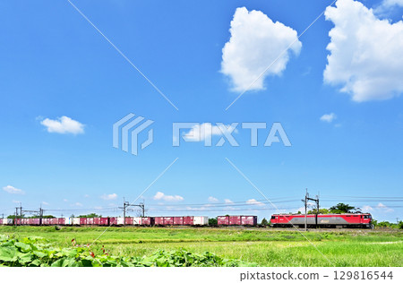 Railway JR Freight: Tohoku Main Line EH500-33 Freight Train 129816544
