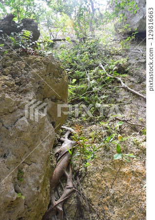 Funabori Utaki (Northern Castle City, Okinawa Prefecture) Funabori Utaki (Northern Castle City, Okinawa Prefecture) 129816663