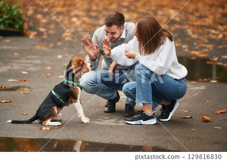 Sitting, playing with animal. Lovely couple are with their cute dog outdoors Sitting, playing with animal. Lovely couple are with their cute dog outdoors 129816830