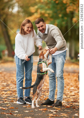 Making the dog stand by back legs, training. Lovely couple are with their cute dog outdoors Making the dog stand by back legs, training. Lovely couple are with their cute dog outdoors 129816832