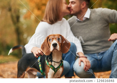 Sitting, resting. Lovely couple are with their cute dog outdoors 129816848