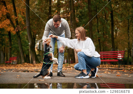 Training, giving treat standing on back legs. Lovely couple are with their cute dog outdoors 129816878