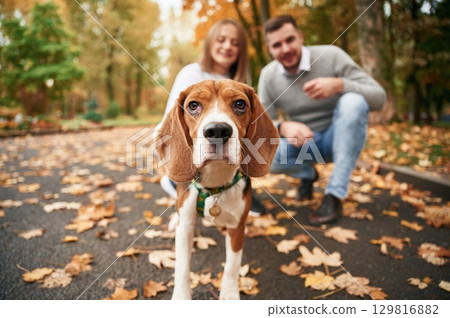 Focused portrait of pet. Lovely couple are with their cute dog outdoors Focused portrait of pet. Lovely couple are with their cute dog outdoors 129816882