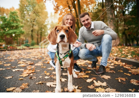 Focused portrait of pet. Lovely couple are with their cute dog outdoors Focused portrait of pet. Lovely couple are with their cute dog outdoors 129816883