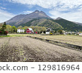 Mount Yufu and a bird (white heron) standing in a rice field, spring countryside scenery, Yufuin (Yufuin), Oita Prefecture 129816964