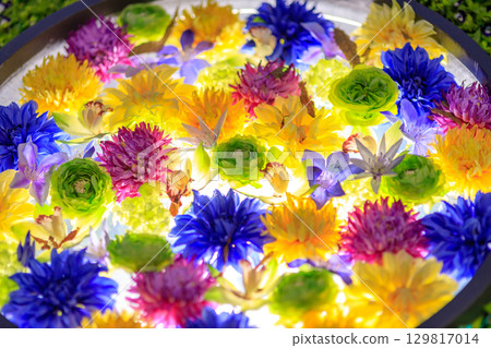 公園夏季慶典活動的美麗燈光 129817014