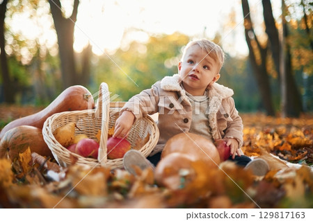 With basket of apples and pears. Little boy is sitting in the autumn park with butternut squash With basket of apples and pears. Little boy is sitting in the autumn park with butternut squash 129817163