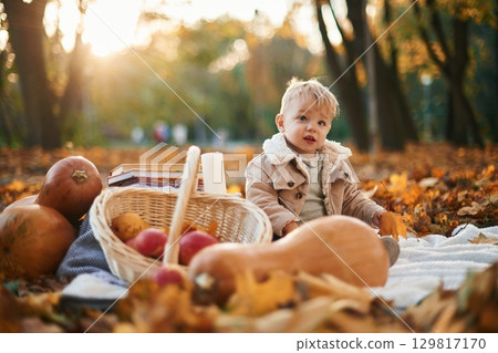 Little boy is sitting in the autumn park with butternut squash Little boy is sitting in the autumn park with butternut squash 129817170