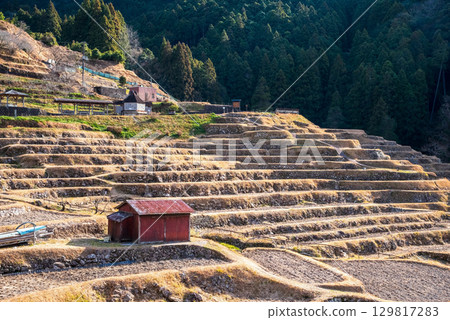 冬季的圓山千枚田（三重縣熊野市） 129817283