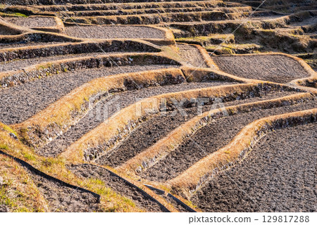 Maruyama Senmaida in winter (Kumano City, Mie Prefecture) Maruyama Senmaida in winter (Kumano City, Mie Prefecture) 129817288