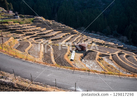 Maruyama Senmaida in winter (Kumano City, Mie Prefecture) 129817298