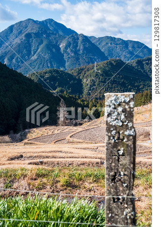 Stone pillars at Maruyama Senmaida in winter (Kumano City, Mie Prefecture) 129817308