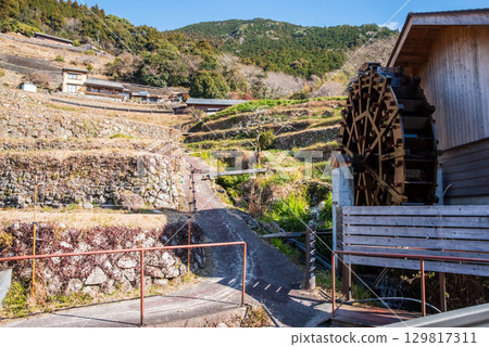 Maruyama Senmaida rice fields in winter, waterwheel (Kumano City, Mie Prefecture) 129817311