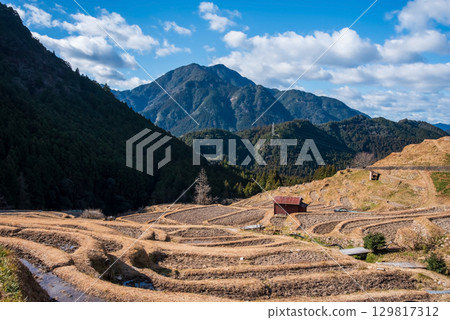 Maruyama Senmaida in winter (Kumano City, Mie Prefecture) 129817312
