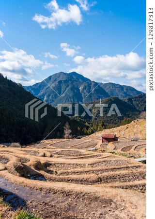 Maruyama Senmaida in winter (Kumano City, Mie Prefecture) 129817313