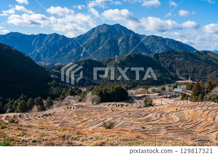 Maruyama Senmaida in winter (Kumano City, Mie Prefecture) 129817321