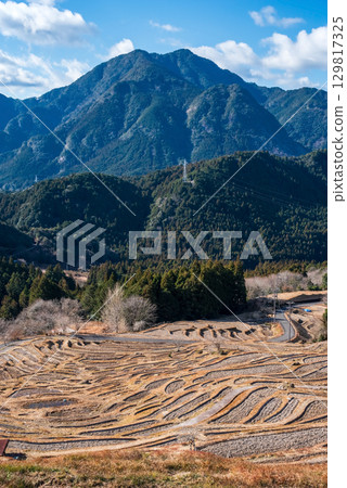 Maruyama Senmaida in winter (Kumano City, Mie Prefecture) 129817325