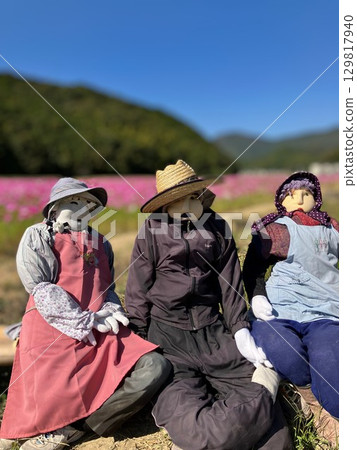 "Uwajima City, Ehime Prefecture" Handmade scarecrow in a cosmos field "Uwajima City, Ehime Prefecture" Handmade scarecrow in a cosmos field 129817940