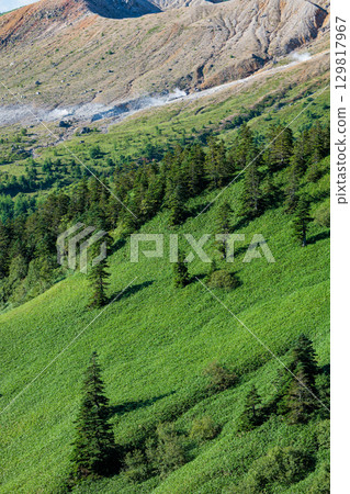 志賀高原：夏季從澀峠眺望白根山的壯麗景色 129817967