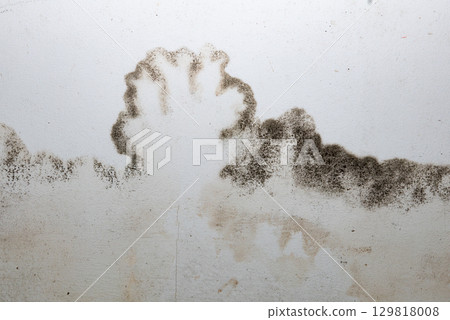 Flooding rainwater or floor heating systems, causing damage, peeling paint and mildew. 129818008