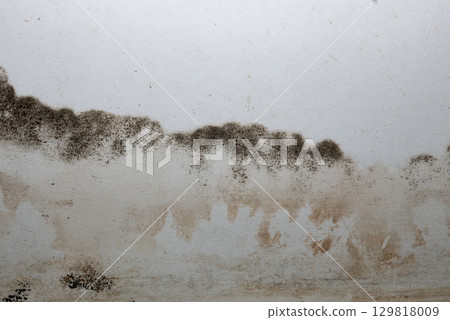 Flooding rainwater or floor heating systems, causing damage, peeling paint and mildew. Flooding rainwater or floor heating systems, causing damage, peeling paint and mildew. 129818009