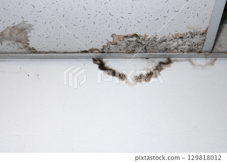 Flooding rainwater or floor heating systems, causing damage, peeling paint and mildew. Flooding rainwater or floor heating systems, causing damage, peeling paint and mildew. 129818012
