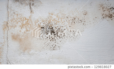 Flooding rainwater or floor heating systems, causing damage, peeling paint and mildew. 129818027