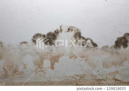 Flooding rainwater or floor heating systems, causing damage, peeling paint and mildew. 129818035