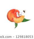 Peaches with whole fruit, slice, flowers, leaves and small bee watercolor isolated illustration in realistic style. Ripe orange summer plants with juicy pulp. Natural food drawing for summer markets Peaches with whole fruit, slice, flowers, leaves and small bee watercolor isolated illustration in realistic style. Ripe orange summer plants with juicy pulp. Natural food drawing for summer markets 129818053