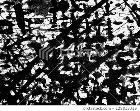 Abstract black and white artwork featuring dynamic lines and textures created with ink on canvas 129818319