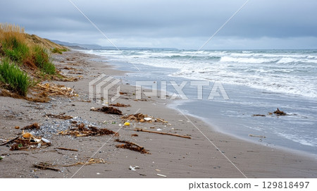 Debris-strewn beach with waves and overcast sky on a cloudy day. 129818497