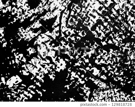 Abstract monochrome texture depicting intricate patterns created by natural elements and weathering processes 129818728