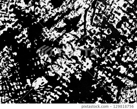 Textured black and white pattern resembling a natural landscape with intricate details 129818756