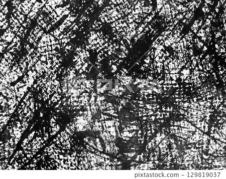 Abstract black and white artwork featuring intricate texture and patterns Abstract black and white artwork featuring intricate texture and patterns 129819037