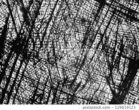 Intricate patterns of black and white textures created by nature and time on a weathered surface 129819123