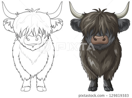 Front View Highland Cow Vector Illustration with Outline Front View Highland Cow Vector Illustration with Outline 129819383