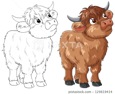 Cute Highland Cow Cartoon with Color and Outline Versions 129819414