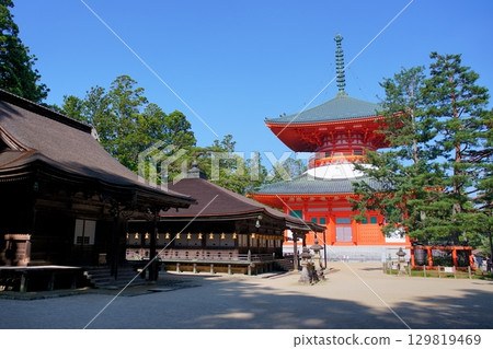 Scenery of the World Heritage Site Mount Koya: The Great Pagoda, the Goei-do Hall, and the Sanko Pine Scenery of the World Heritage Site Mount Koya: The Great Pagoda, the Goei-do Hall, and the Sanko Pine 129819469