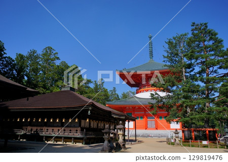 Scenery of the World Heritage Site Mount Koya: The Great Pagoda, the Goei-do Hall, and the Sanko Pine Scenery of the World Heritage Site Mount Koya: The Great Pagoda, the Goei-do Hall, and the Sanko Pine 129819476