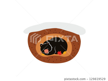 Hibernating bear 129819529