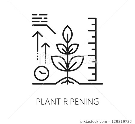 Smart farm icon of agriculture robot technology for plants ripening, vector line symbol. Smart farm icon of farmer crop plantation for agronomy and agrarian farming digital automation control Smart farm icon of agriculture robot technology for plants ripening, vector line symbol. Smart farm icon of farmer crop plantation for agronomy and agrarian farming digital automation control 129819723