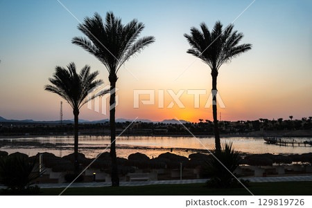Sunset Between Palm Trees at Marsa Alam Resort Sunset Between Palm Trees at Marsa Alam Resort 129819726