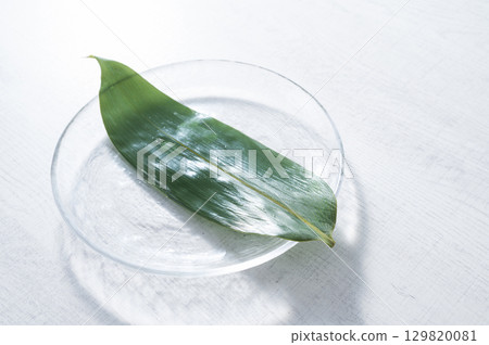玻璃碗和竹葉 玻璃碗和竹葉 129820081